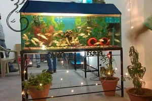 Fish Aquarium Bhiwani (Pet Shop) image