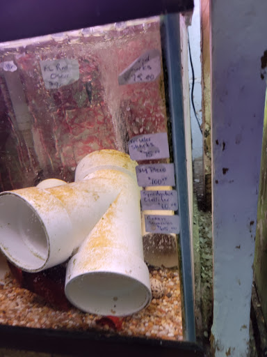 Tropical Fish Store «Emmons Tropical Fish & Ponds», reviews and photos, 1612 Hopmeadow St, Simsbury, CT 06070, USA