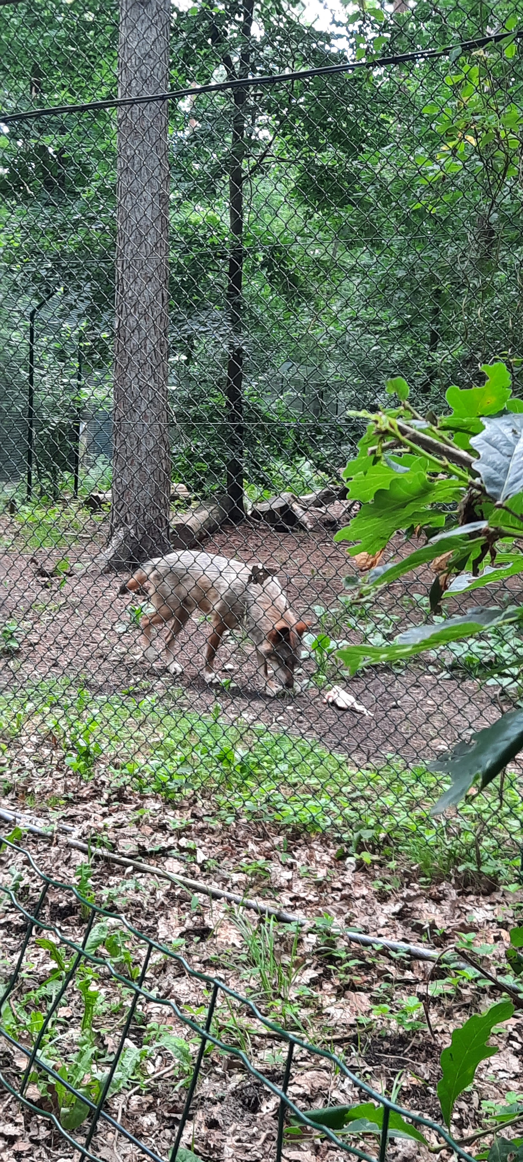 Photo n° 2 de l'avis de manon.a fait le 24/06/2022 à 15:40