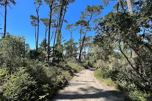 Huckleberry Hill Loop Trailhead image