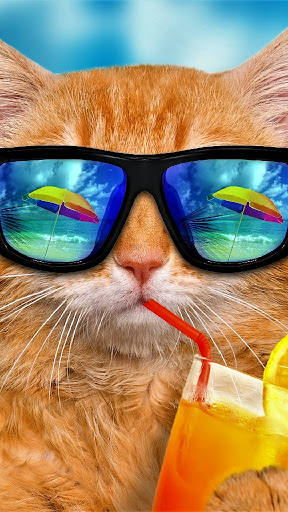 Department Store «T.J. Maxx», reviews and photos, 3575 E Main St, Richmond, IN 47374, USA