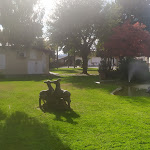 Photo n°1 de l'avis de Anto.u fait le 15/11/2023 à 06:00 sur le  Ristorante Albergo Dei Cacciatori à Rolandini-Sbarro