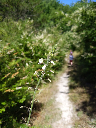 Park «Gateway Park», reviews and photos, 2500 N Jim Miller Rd, Dallas, TX 75227, USA