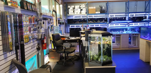 Tropical Fish Store «Shipwreck Cove Custom Aquariums», reviews and photos, 215 S El Camino Real, Encinitas, CA 92024, USA