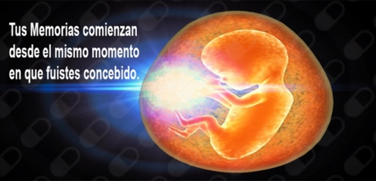 Ps Yasna Andrea Céspedes Sanhueza, Psicólogo - Psicólogo