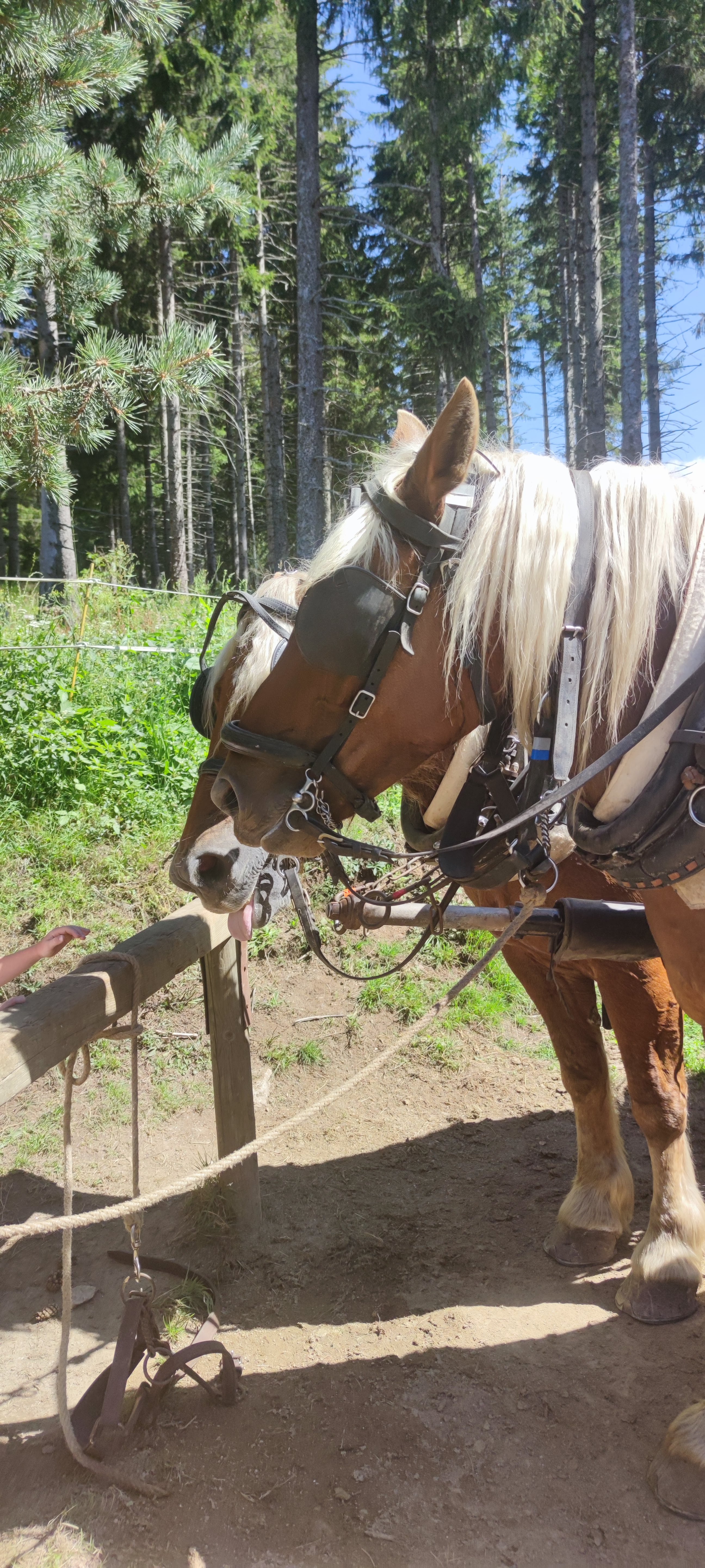 Photo n° 2 de l'avis de Natacha.a fait le 24/08/2021 à 13:17