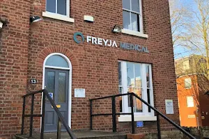 Freyja Medical image