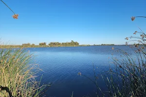 Los Banos Waterfowl Management Area image