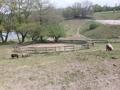 Centre Equestre Les Hauts de Blond à Blond
