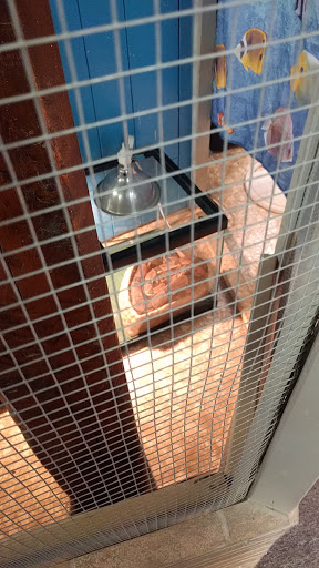 Pet Store «AquaVarium Pets And Supplies», reviews and photos, 95 W Bridge St, Catskill, NY 12414, USA
