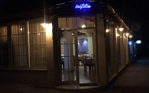 Bar Restaurant Trifilia image