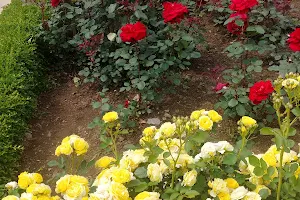 선학꽃식물원 image