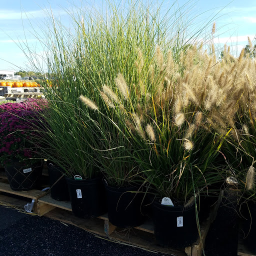 Hardware Store «Westlake Ace Hardware 080», reviews and photos, 708 S Aspen Ave, Broken Arrow, OK 74012, USA