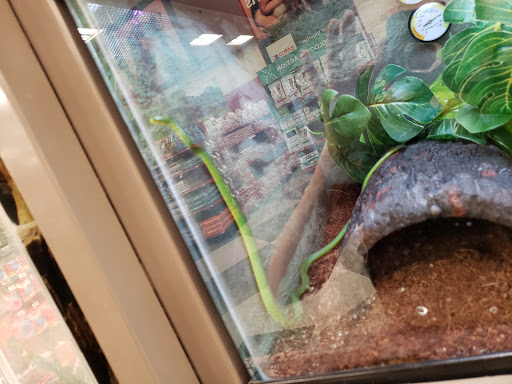 Pet Supply Store «Petco Animal Supplies», reviews and photos, 3577 S Rainbow Blvd, Las Vegas, NV 89103, USA