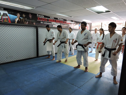 Martial arts classes Cali