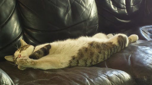 Smog Inspection Station «Foothills Industries Mtr Works», reviews and photos, 3941 Foothill Blvd, La Crescenta, CA 91214, USA