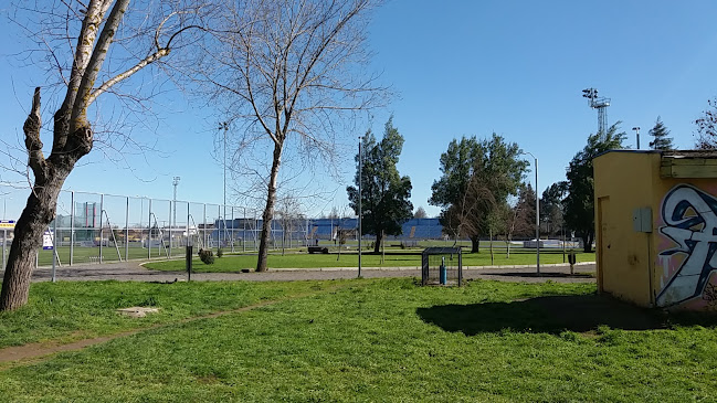 Skatepark Quilamapu - Chillán