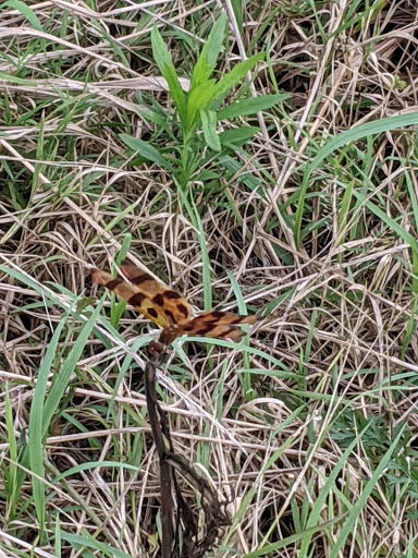 Fruit and Vegetable Store «Henley Farm», reviews and photos, 3513 Charity Neck Rd, Virginia Beach, VA 23456, USA