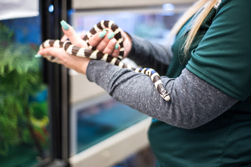 Pet Supply Store «Skyway Feed & Pet Supply Inc», reviews and photos, 677 Birch St, Paradise, CA 95969, USA