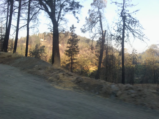 Golf Course «Adams Springs Golf Course», reviews and photos, 14347 Snead Ct, Cobb, CA 95426, USA