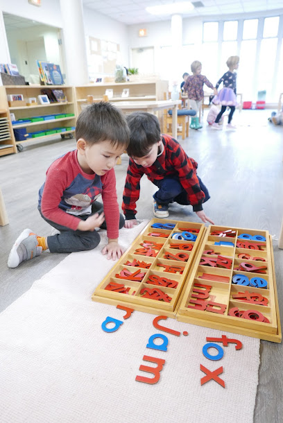 Little Cedar Montessori Pre School