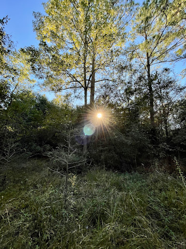 Nature Preserve «Spring Trails Preserve», reviews and photos, Claytons Bend, Spring, TX 77386, USA