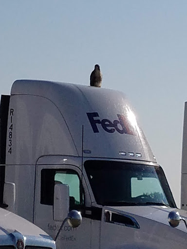 Mailing Service «FedEx Freight», reviews and photos, 3951 New Town Blvd, St Charles, MO 63301, USA