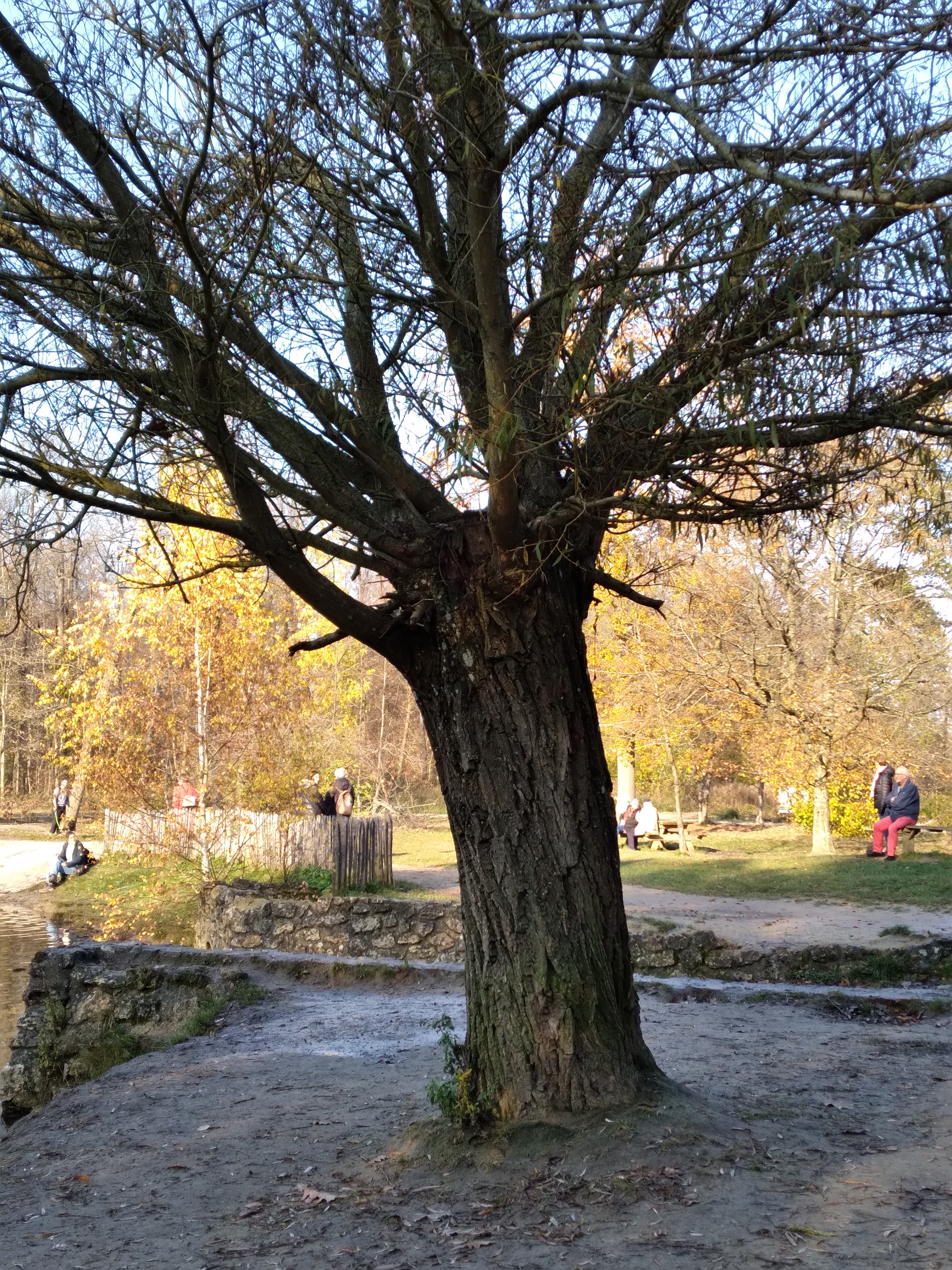 Photo n° 2 de l'avis de Aisyah.m fait le 13/11/2021 à 07:23