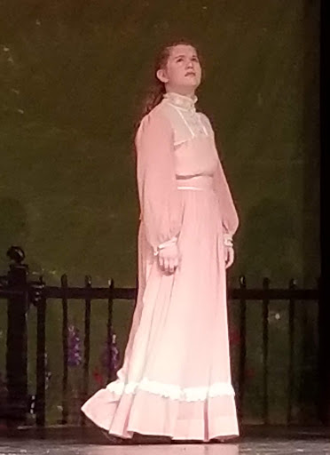 Performing Arts Theater «The Schwartz Center for the Arts», reviews and photos, 226 S State St, Dover, DE 19901, USA