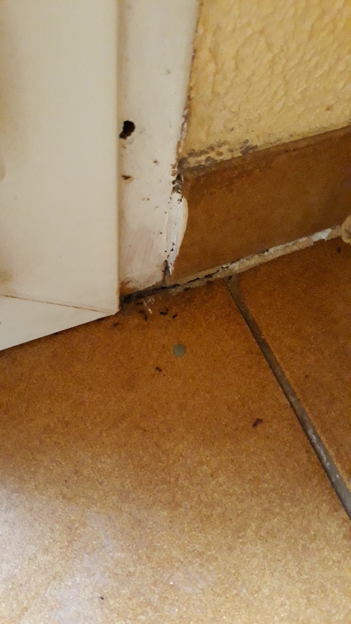 Photo n° 3 de l'avis de Aurélie. fait le 27/05/2018 à 19:23