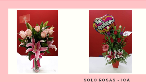 Solo Rosas - Ica
