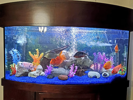 Pet Store «Fish-N-Pets Unlimited», reviews and photos, 11710 Bissonnet St, Houston, TX 77099, USA