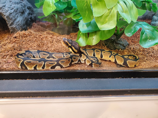 Pet Supply Store «Petco Animal Supplies», reviews and photos, 855 E Bidwell St, Folsom, CA 95630, USA