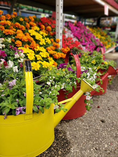 Hardware Store «Scholze Ace Home Center», reviews and photos, 133 County Rd A, Black River Falls, WI 54615, USA