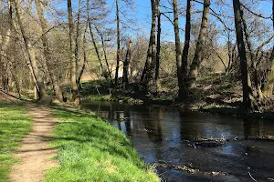 Přírodní park Meandry Botiče image