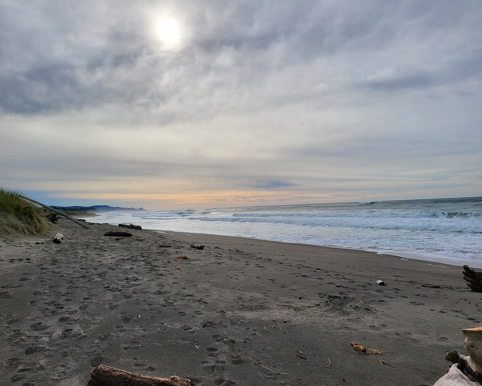 Φωτογραφία του Salishan Beach με επίπεδο καθαριότητας πολύ καθαρό