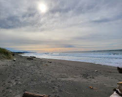Salishan Beach'in fotoğrafı çok temiz temizlik seviyesi ile