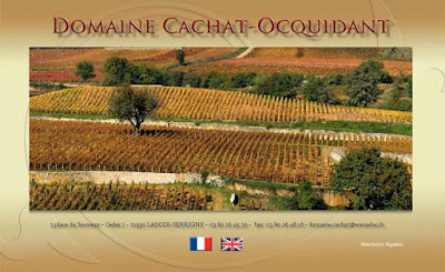 Domaine Cachat-Ocquidant à Ladoix-Serrigny
