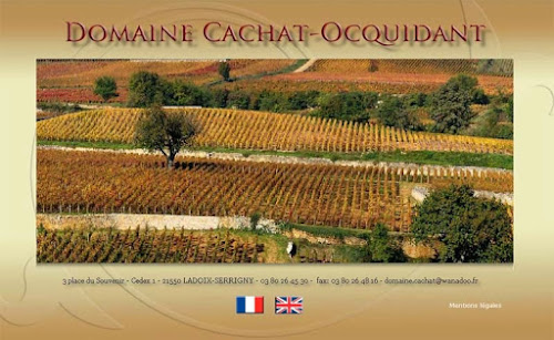 Domaine Cachat-Ocquidant à Ladoix-Serrigny