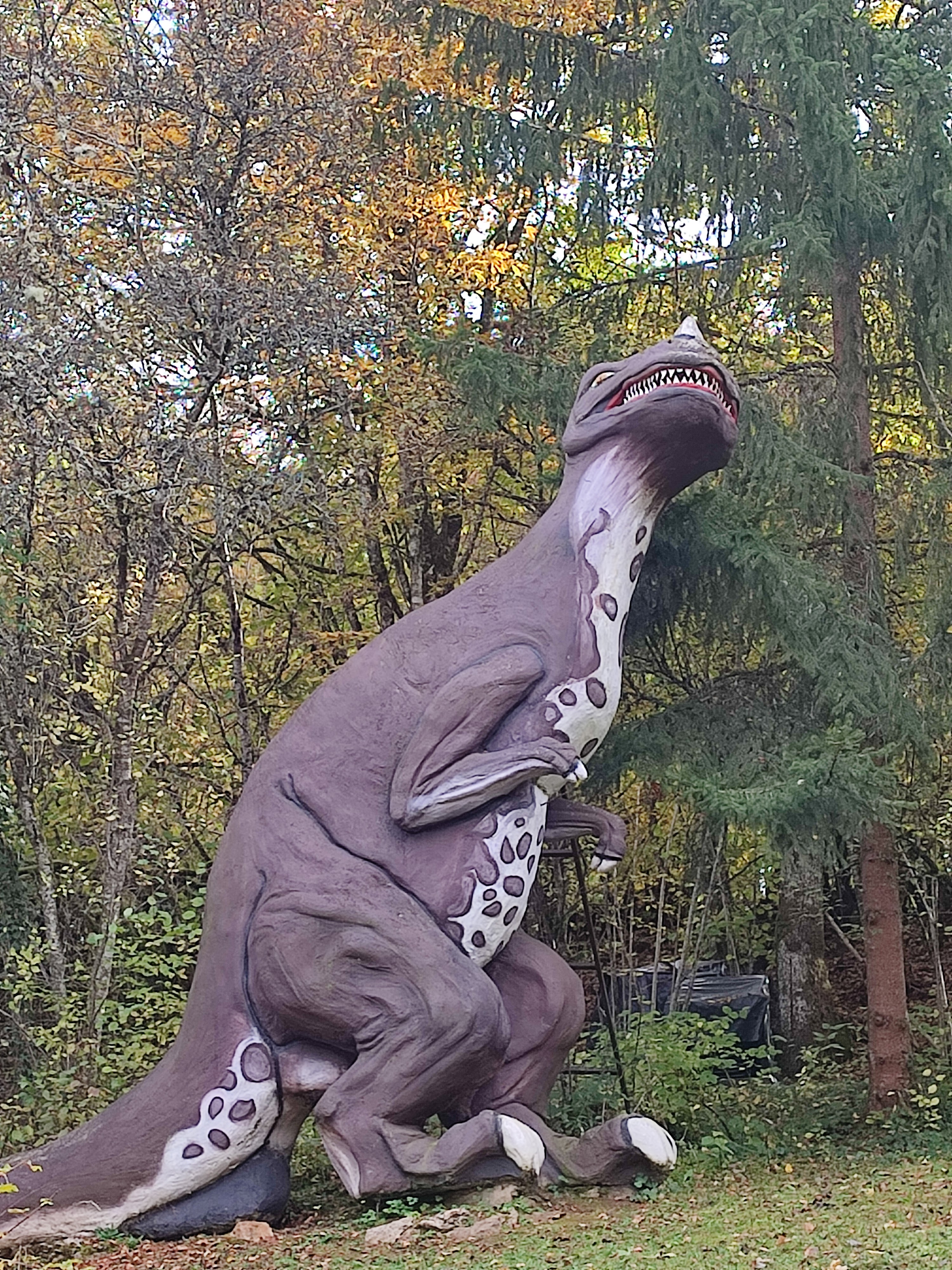 Photo n° 15 de l'avis de Anna.e fait le 05/11/2021 à 20:07