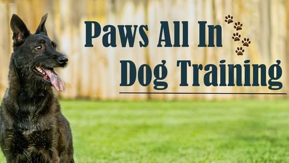 Paws All In Dog Training