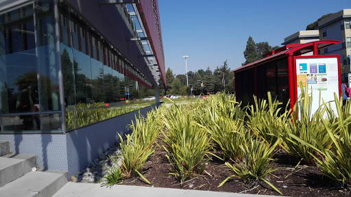 California State University, East Bay image