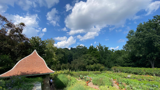 Art Museum «Dumbarton Oaks Museum», reviews and photos, 1703 32nd St NW, Washington, DC 20007, USA