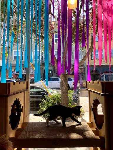 Pet Supply Store «Cole Valley Pets», reviews and photos, 910 Cole St, San Francisco, CA 94117, USA