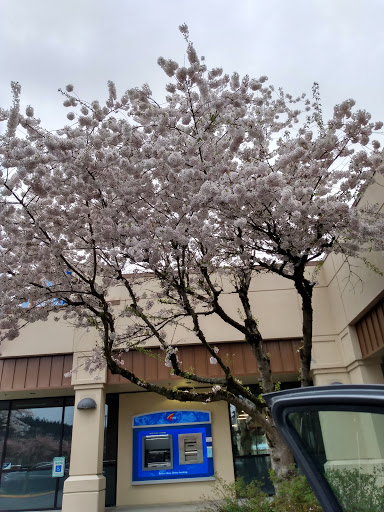 Outlet Mall «Woodgate Mall», reviews and photos, 13300 NE 175th St, Woodinville, WA 98072, USA