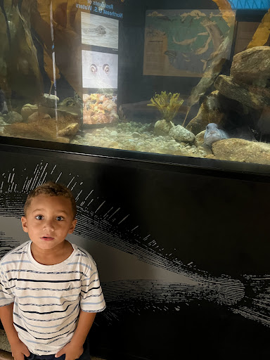 Aquarium «Woods Hole Science Aquarium», reviews and photos, 166 Water St, Woods Hole, MA 02543, USA