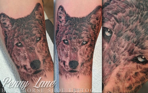 Body Piercing Shop «Blue Horse Shoe Tattoo and Piercing», reviews and photos, 3513 Virginia Beach Blvd, Virginia Beach, VA 23452, USA