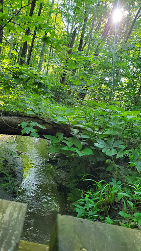 Nature Preserve «Burnett Woods», reviews and photos, 8264 E County Rd 100 S, Avon, IN 46123, USA