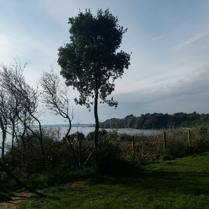 Photo n° 3 de l'avis de Albert.a fait le 29/04/2019 à 16:51