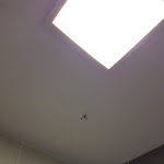 Photo n°2 de l'avis de G. fait le 14/01/2019 à 10:43 sur le  Roadhouse Restaurant Bologna Stalingrado à Bologna